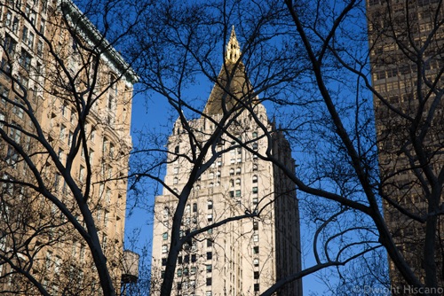 Madison Square Park New York City (0666SA).jpg